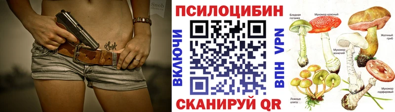 дарнет шоп  ОМГ ОМГ как зайти  это телеграм  Гаврилов-Ям  Галлюциногенные грибы ЛСД 